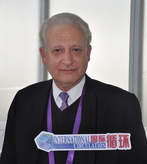 [CIT2015]中国介入发展对世界意义重大--大会共同主席Martin Leon教授专访